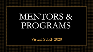 mentors-and-programs